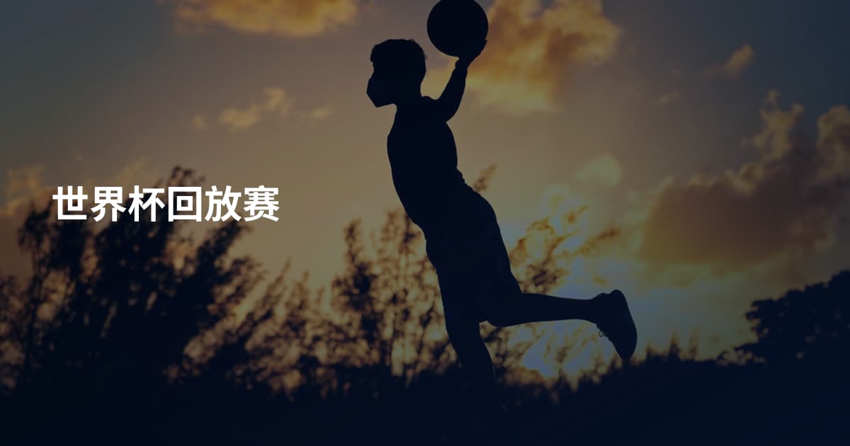 世界杯回放赛