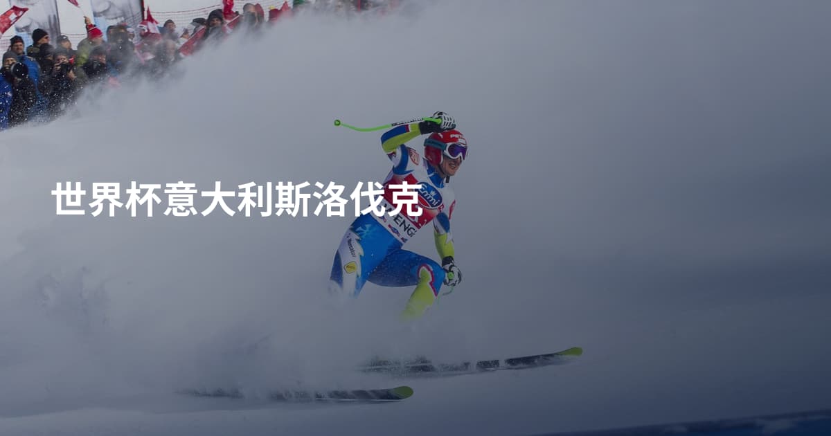 世界杯意大利斯洛伐克