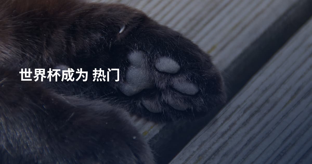 世界杯成为 热门