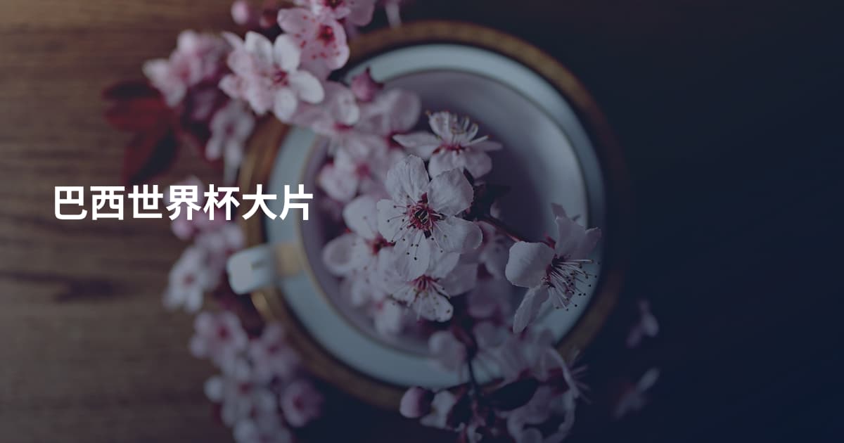 巴西世界杯大片