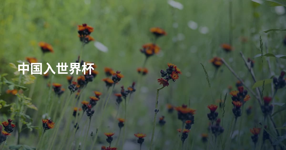 中国入世界杯