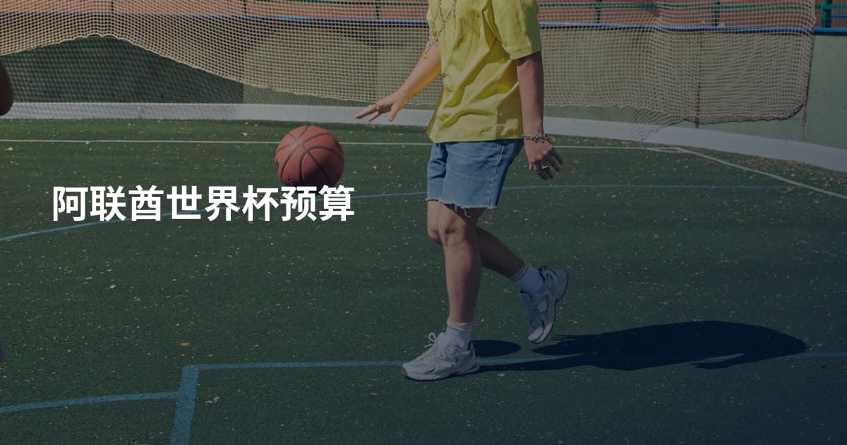 阿联酋世界杯预算