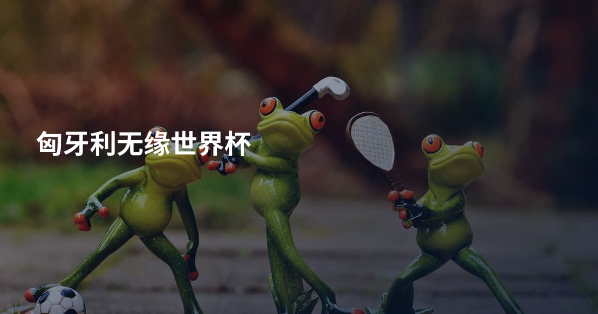 匈牙利无缘世界杯