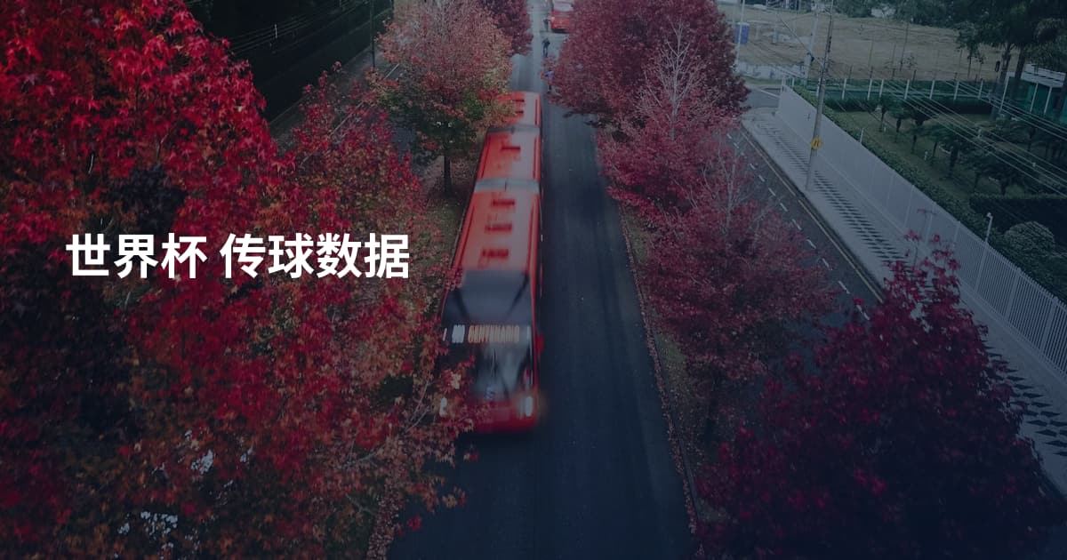 世界杯 传球数据