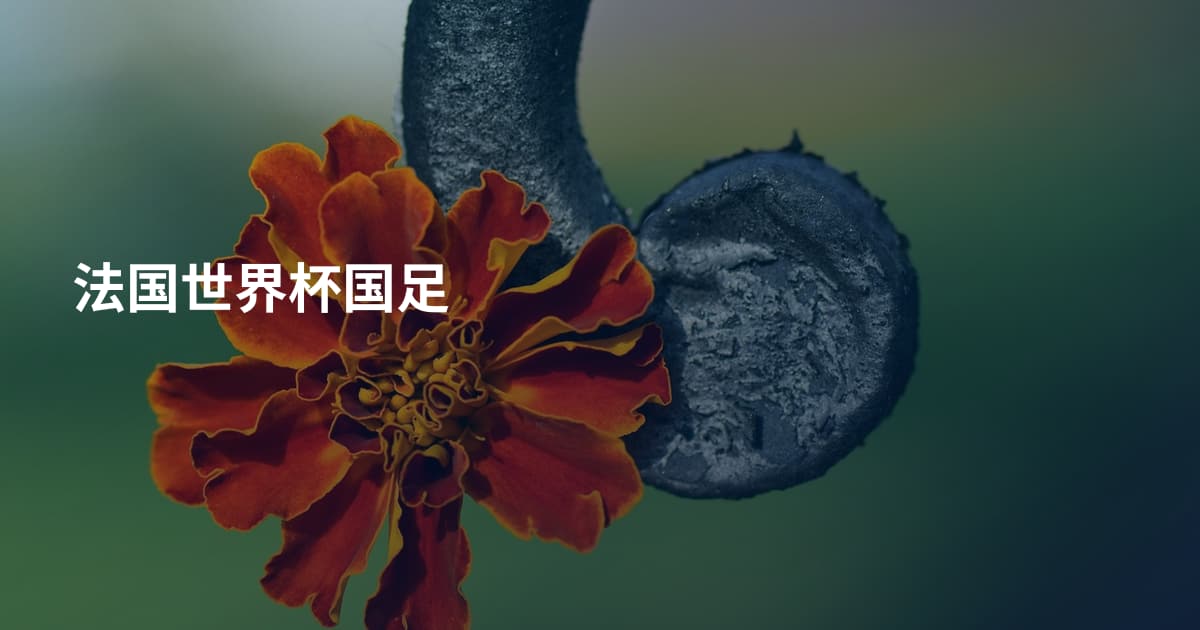 法国世界杯国足