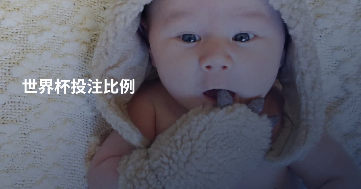 世界杯投注比例