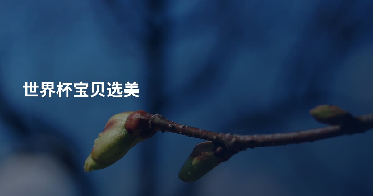 世界杯宝贝选美