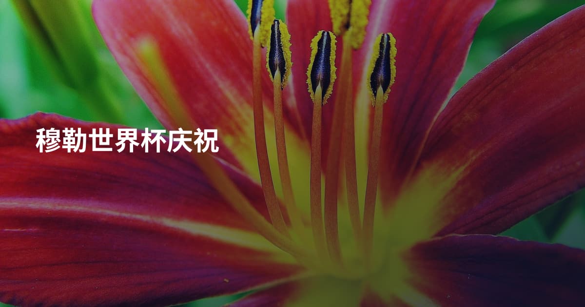 穆勒世界杯庆祝