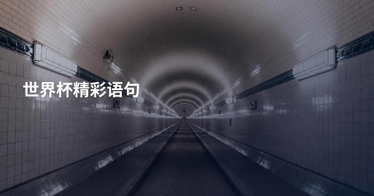 世界杯精彩语句