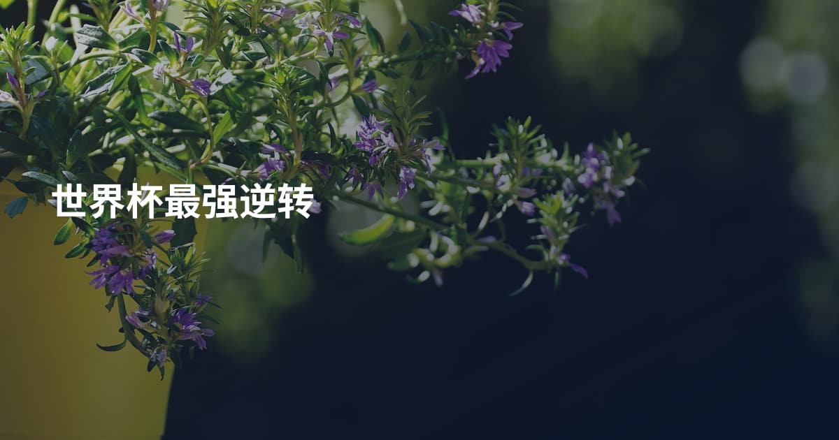 世界杯最强逆转