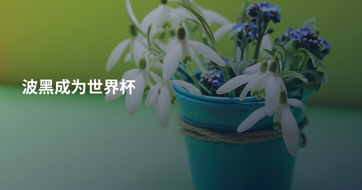 波黑成为世界杯