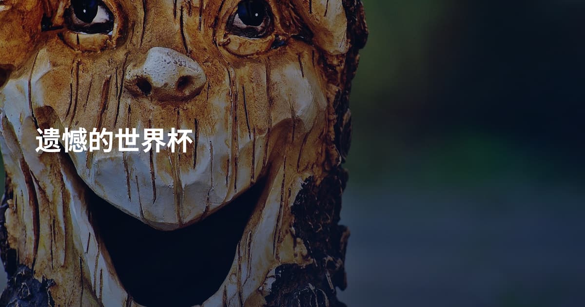 遗憾的世界杯