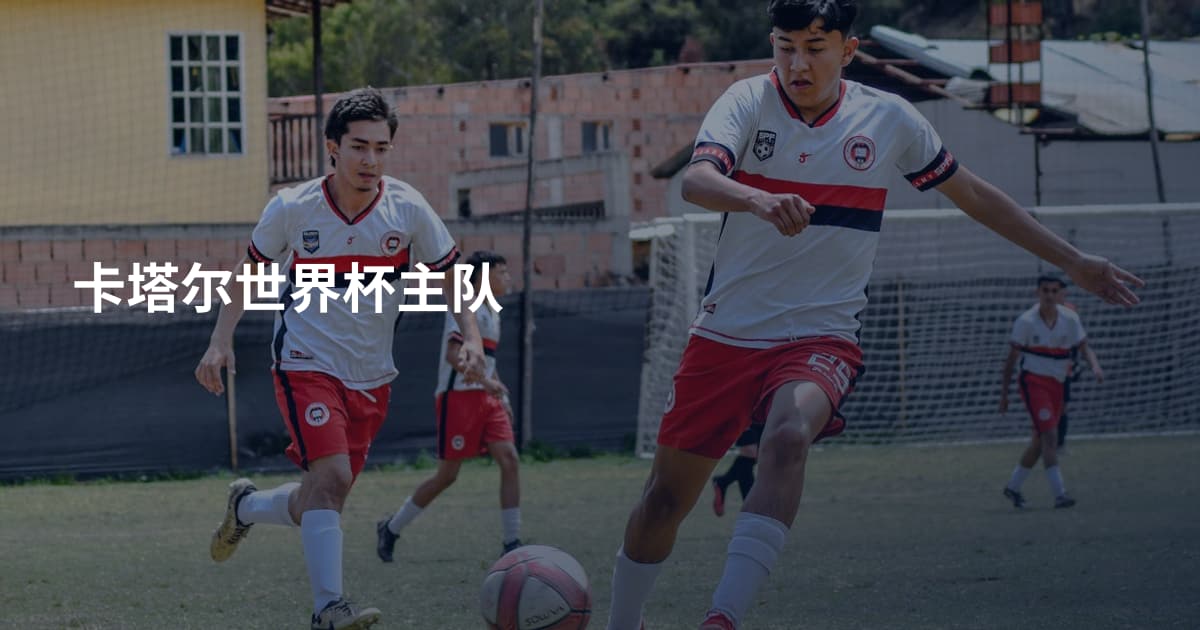卡塔尔世界杯主队