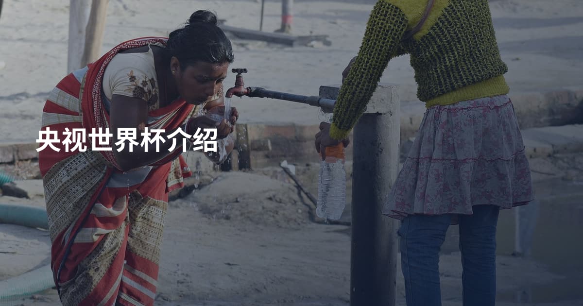 央视世界杯介绍