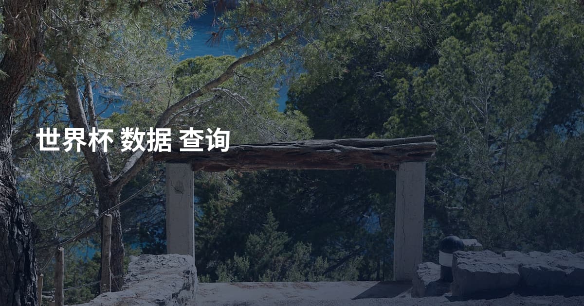 世界杯 数据 查询