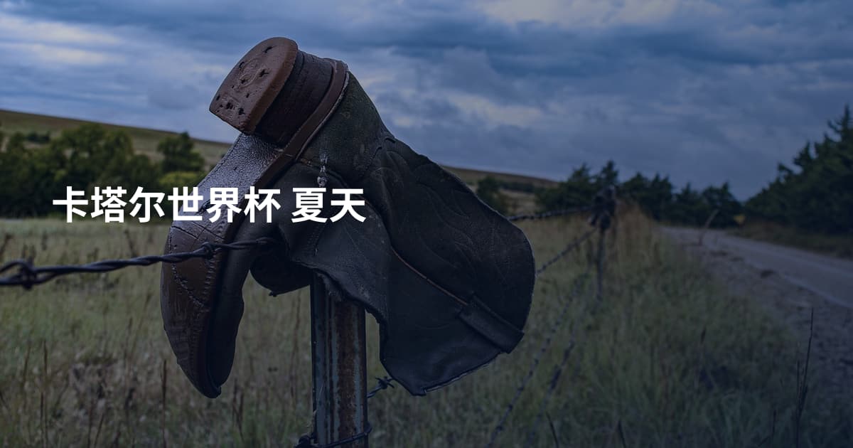 卡塔尔世界杯 夏天