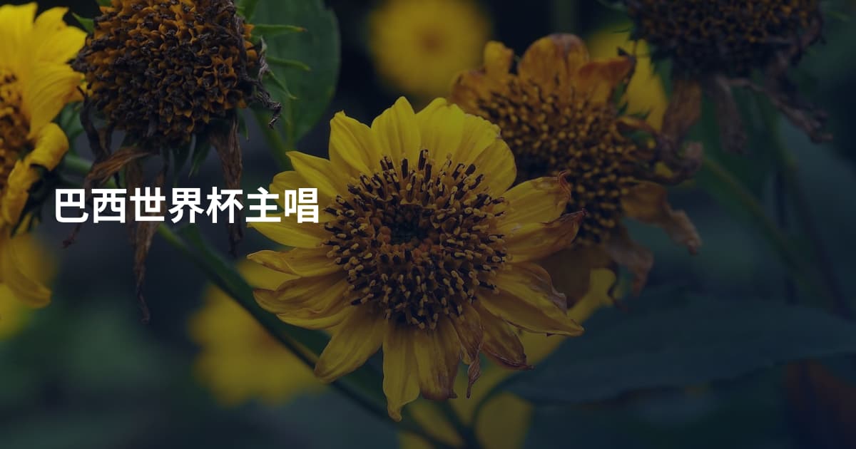 巴西世界杯主唱
