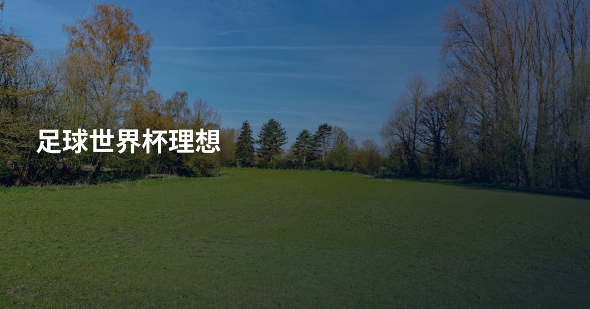 足球世界杯理想