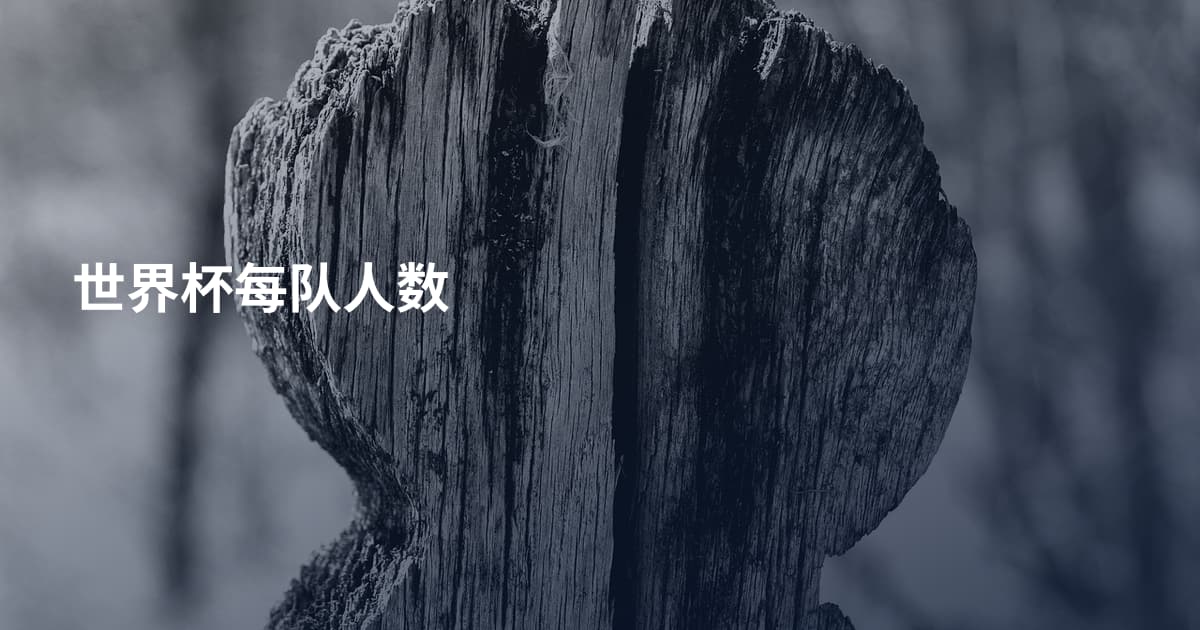 世界杯每队人数