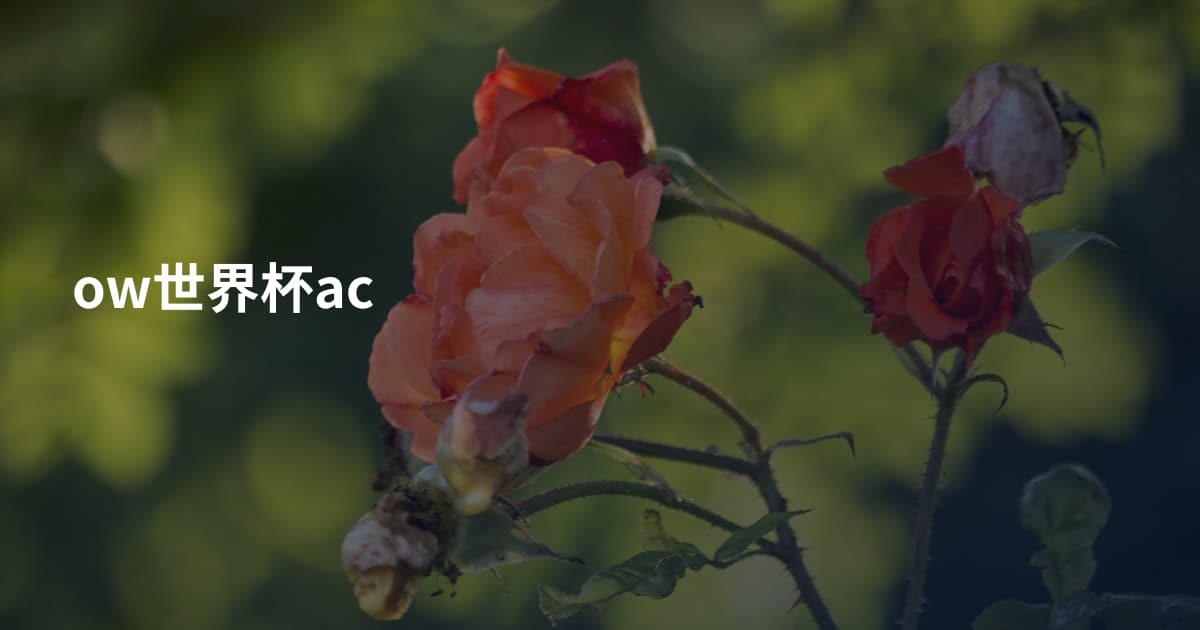 ow世界杯ac