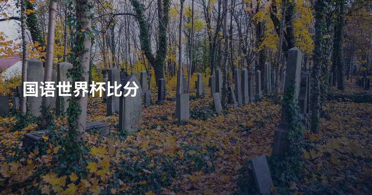 国语世界杯比分