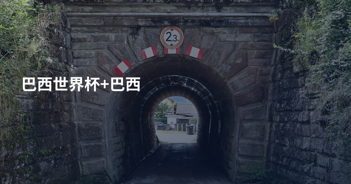 巴西世界杯+巴西