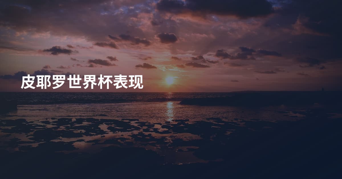 皮耶罗世界杯表现