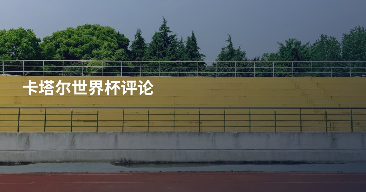卡塔尔世界杯评论