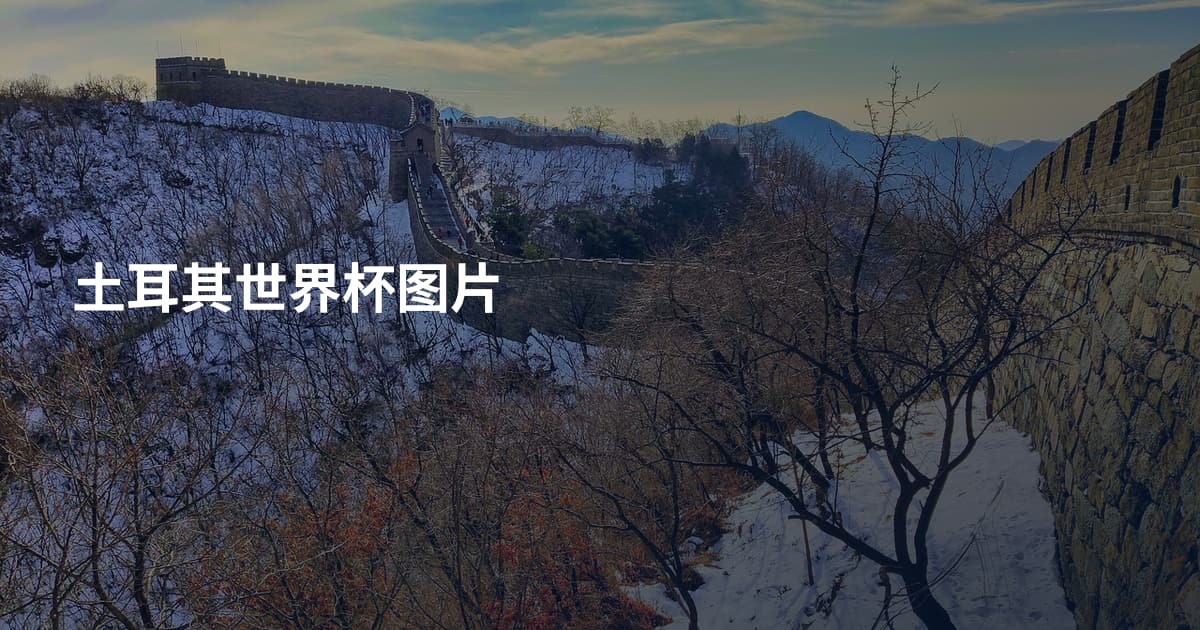 土耳其世界杯图片