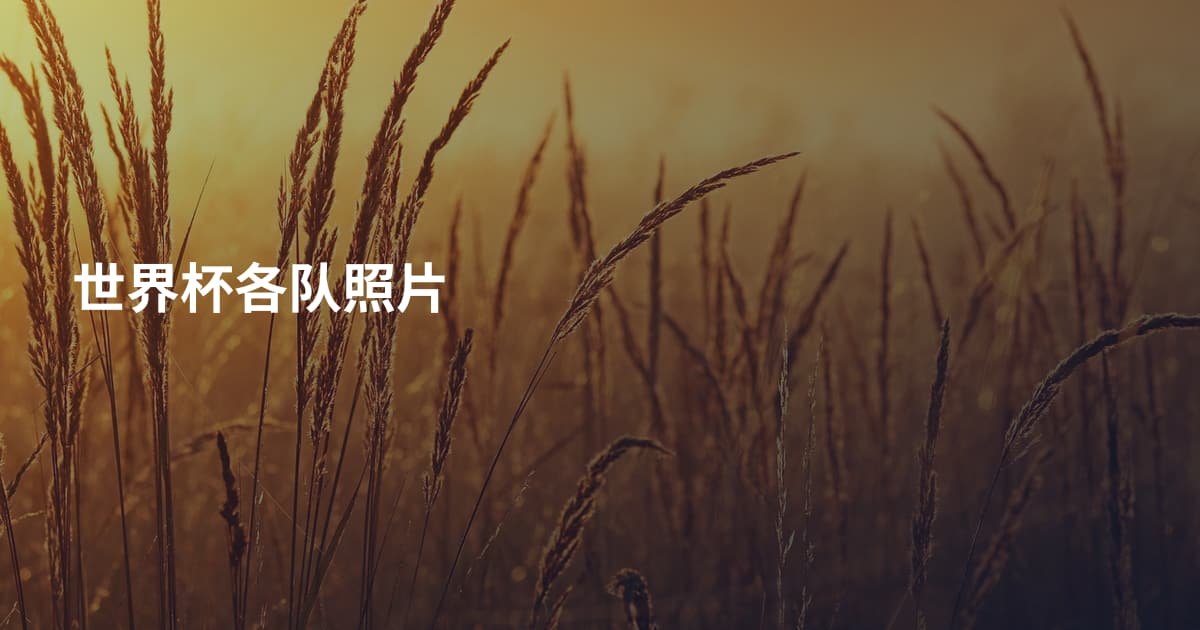 世界杯各队照片