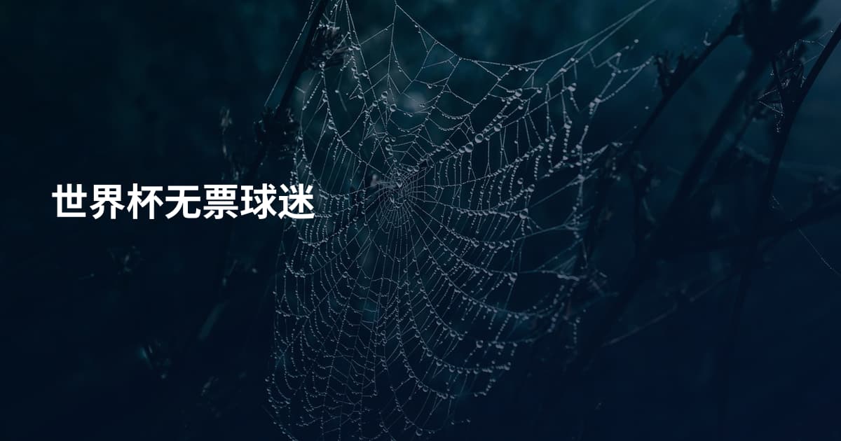 世界杯无票球迷