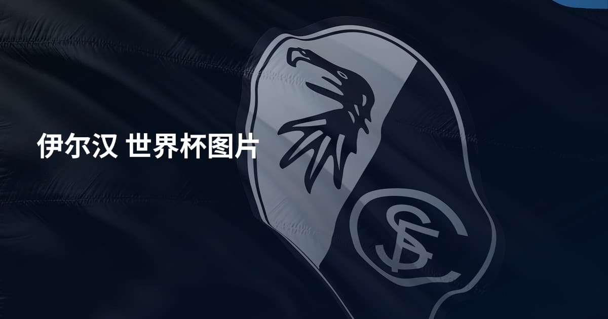 伊尔汉 世界杯图片