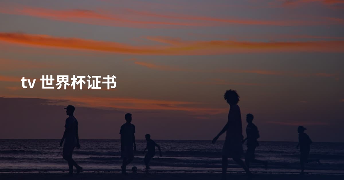 tv 世界杯证书