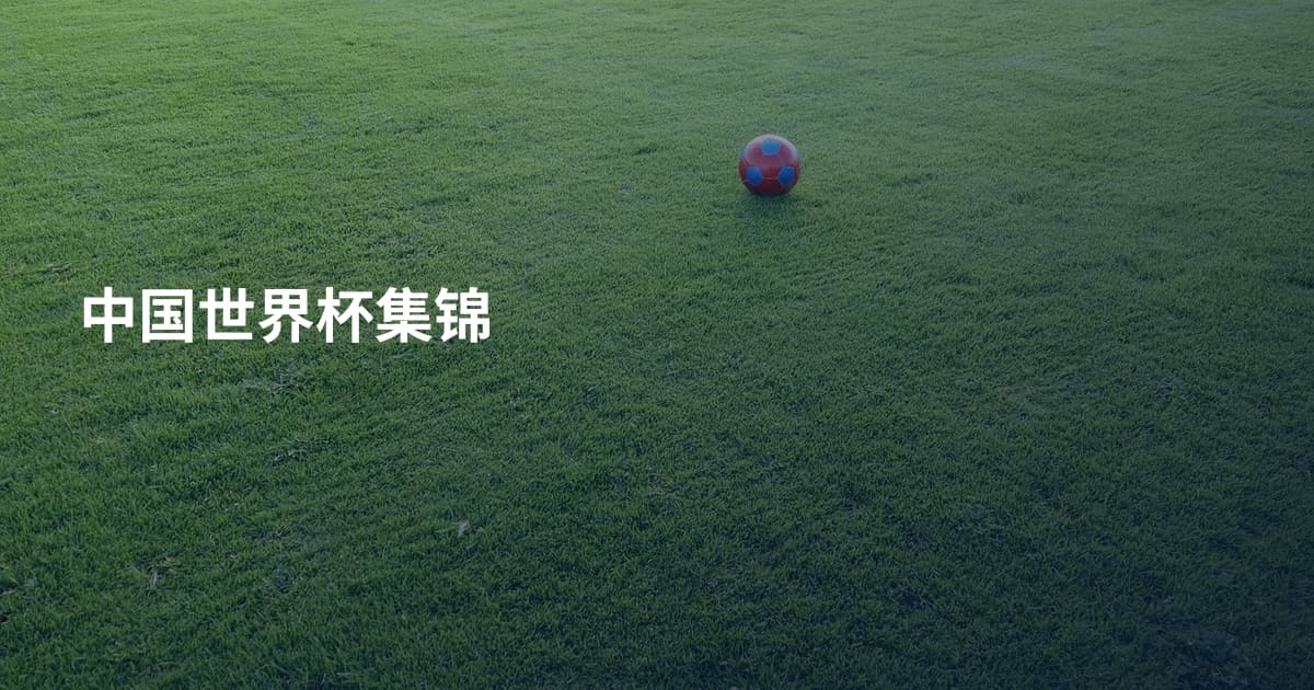中国世界杯集锦