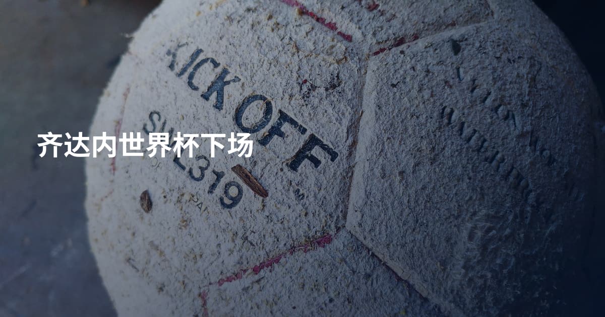 齐达内世界杯下场