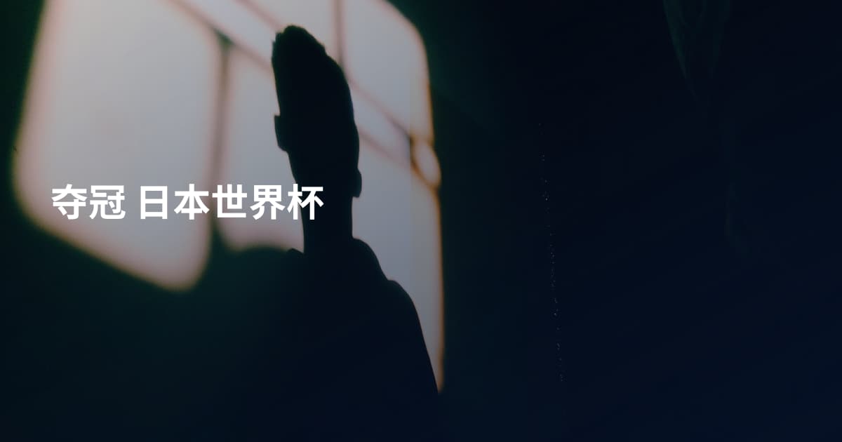 夺冠 日本世界杯