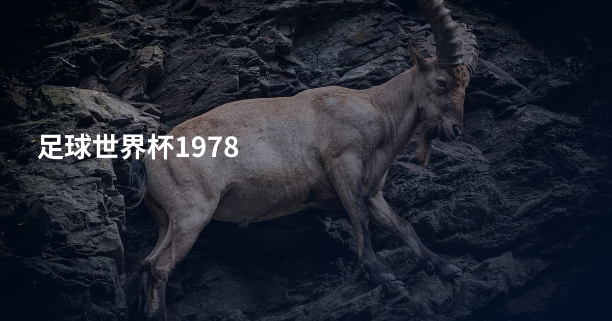 足球世界杯1978