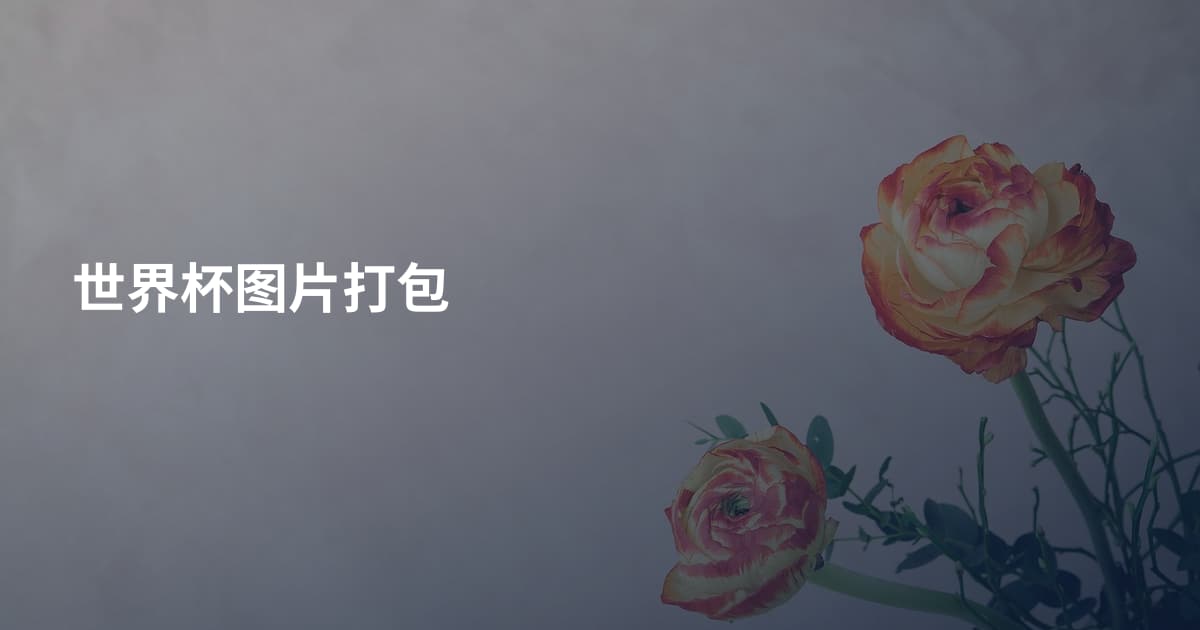 世界杯图片打包