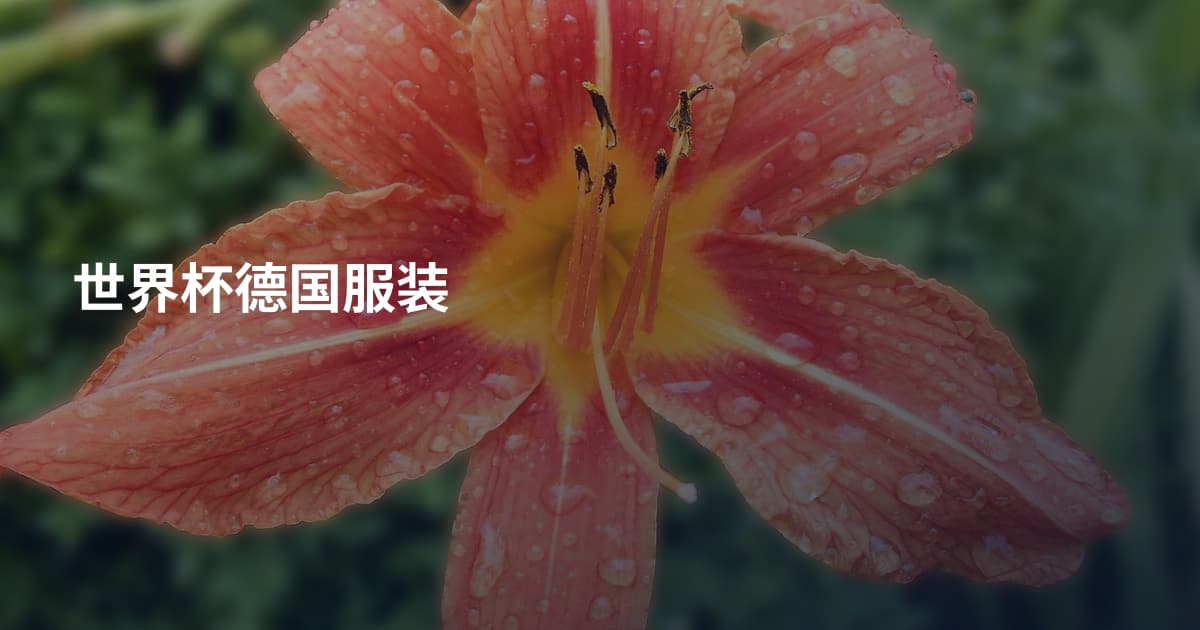 世界杯德国服装