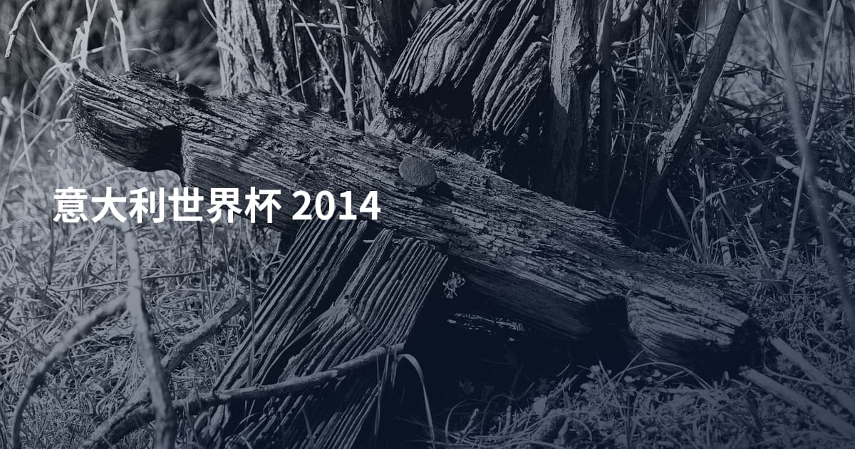 意大利世界杯 2014