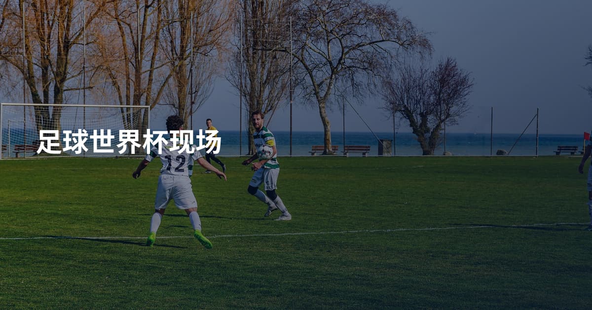 足球世界杯现场