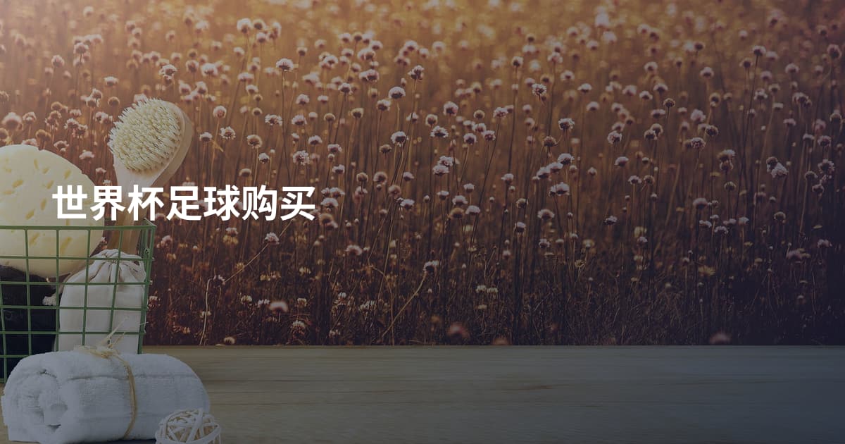 世界杯足球购买