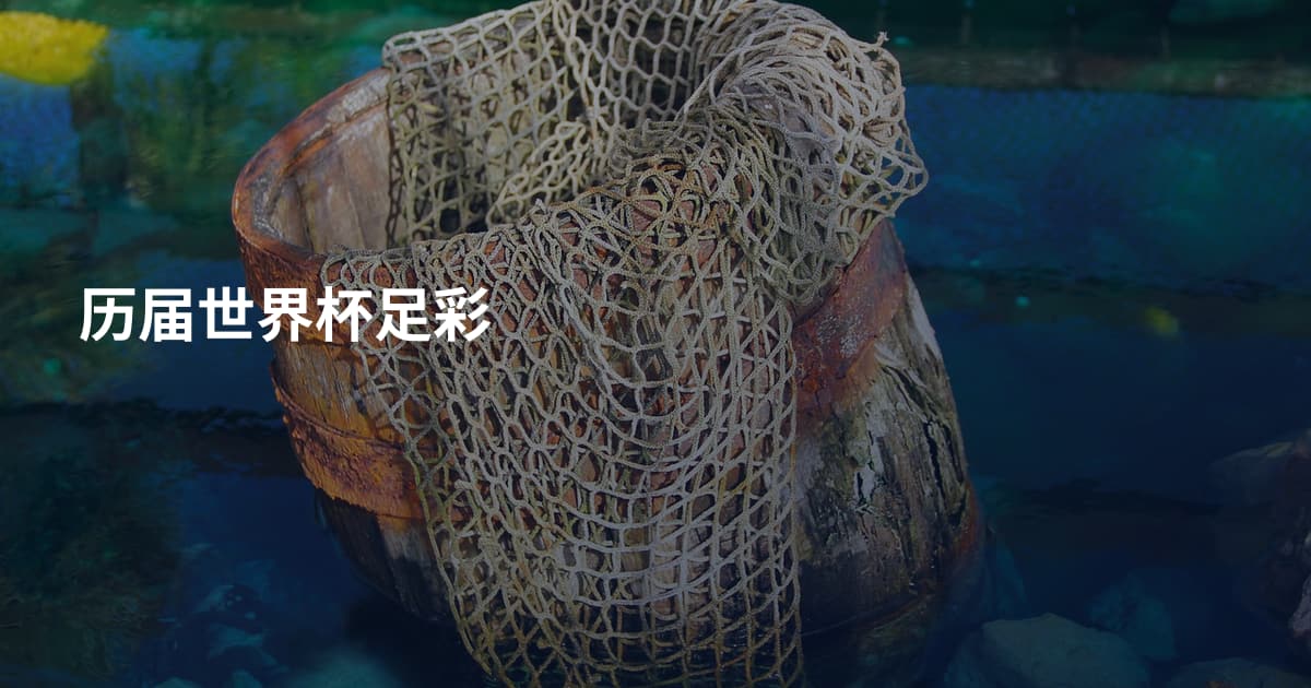 历届世界杯足彩