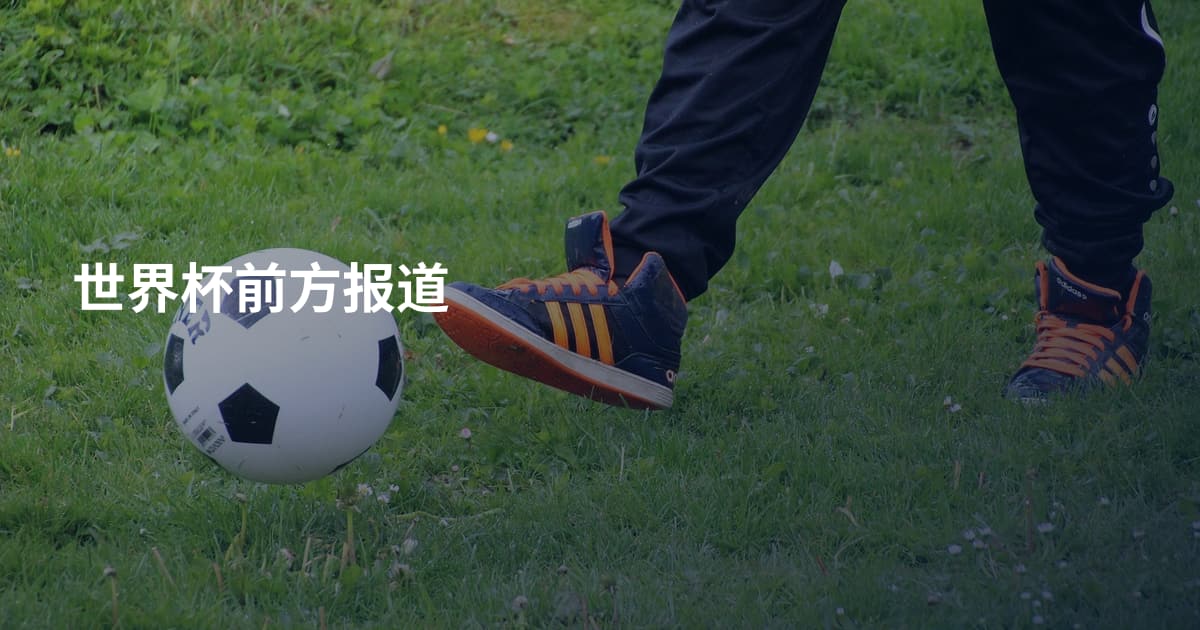 世界杯前方报道
