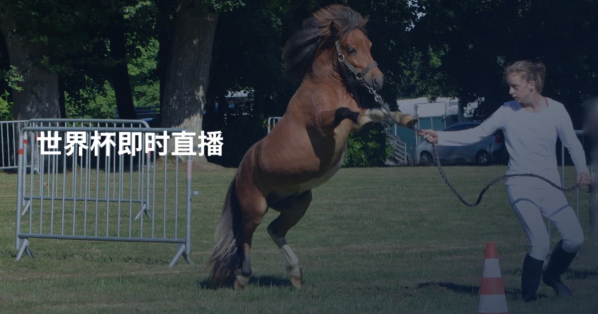 世界杯即时直播