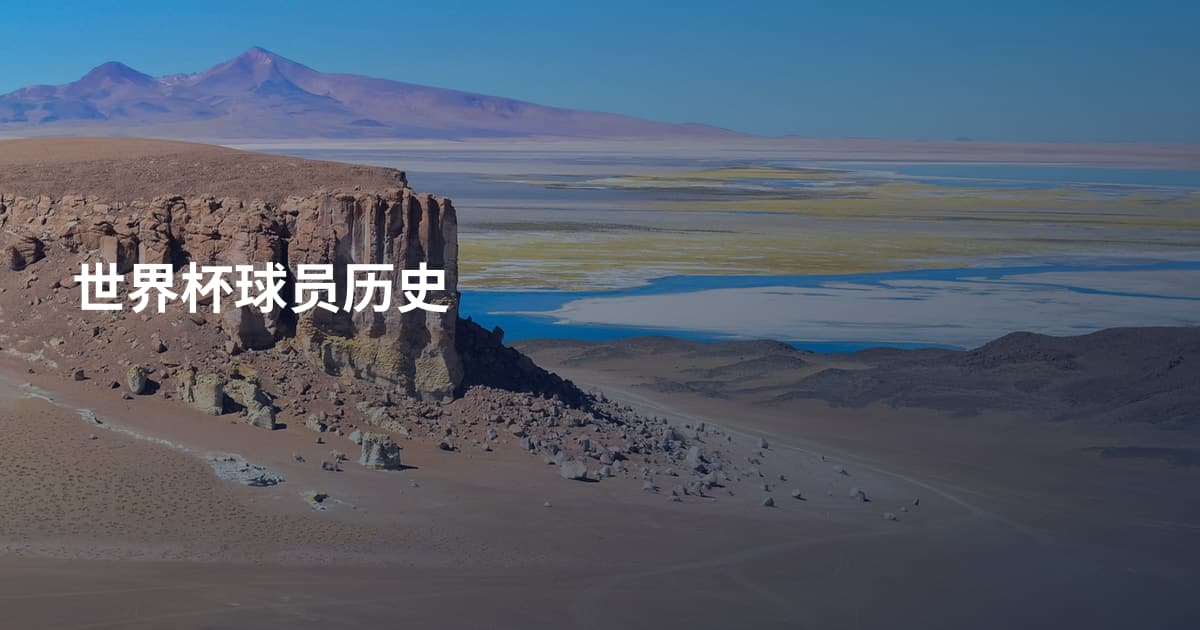 世界杯球员历史