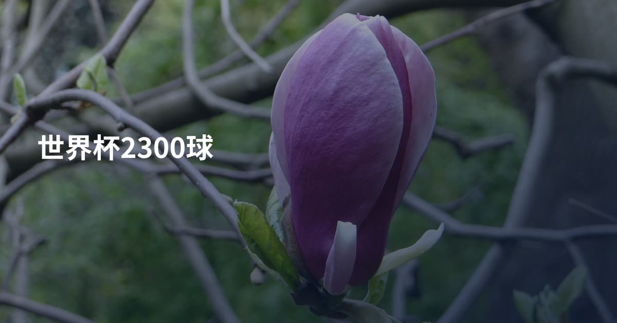 世界杯2300球