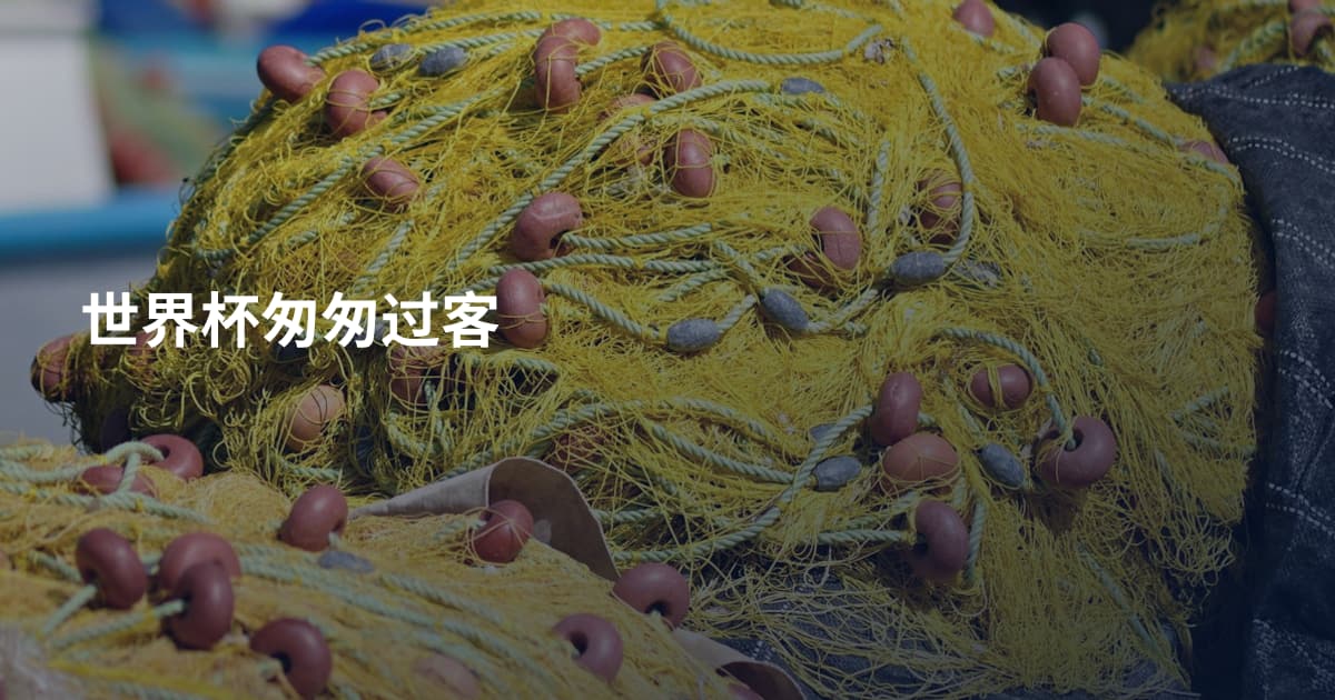 世界杯匆匆过客