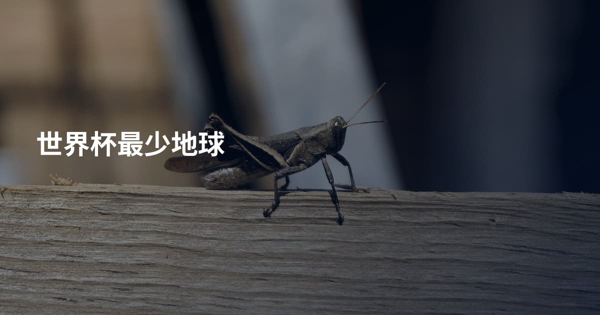 世界杯最少地球