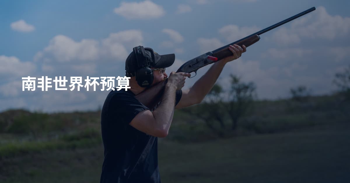 南非世界杯预算